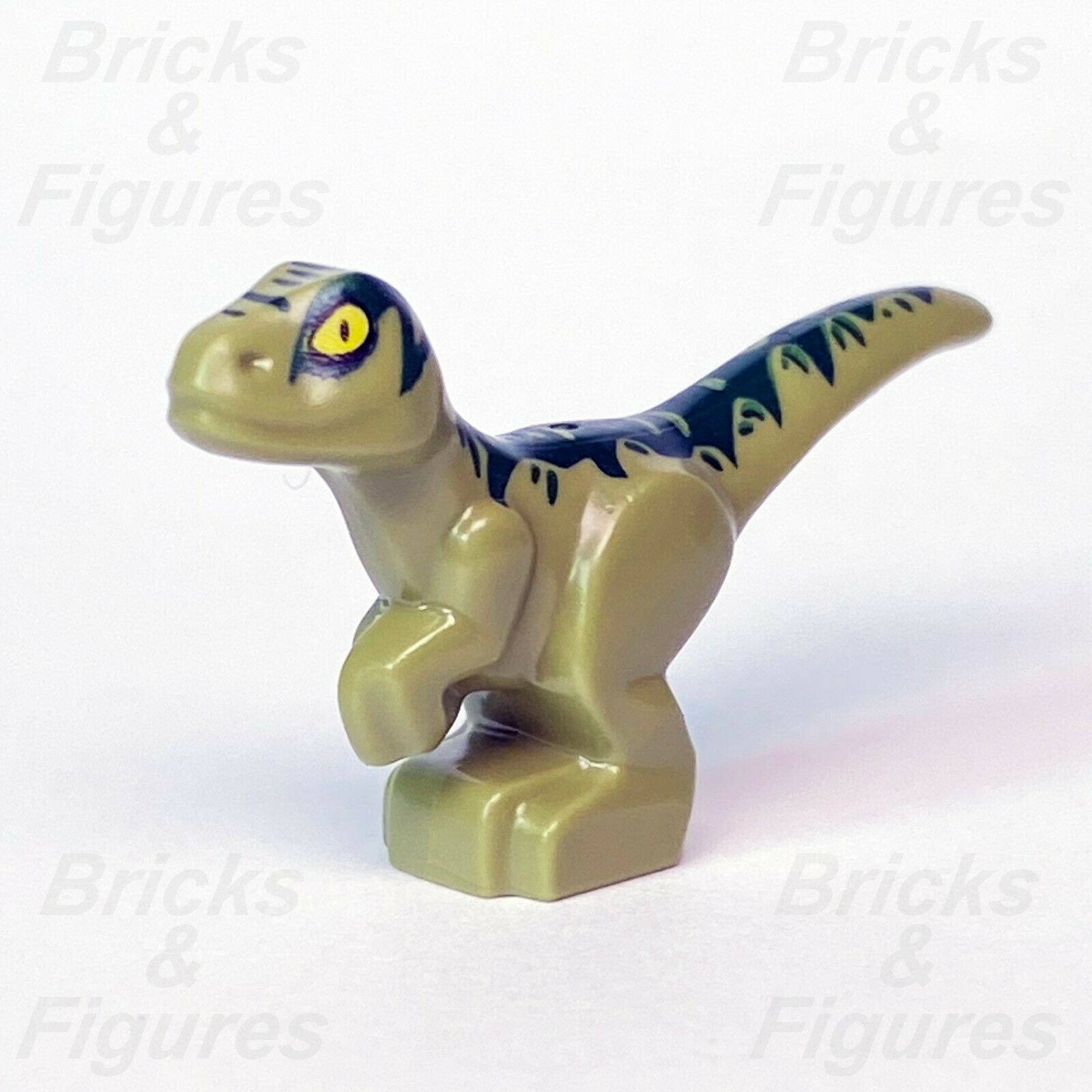 Lego baby best sale blue raptor