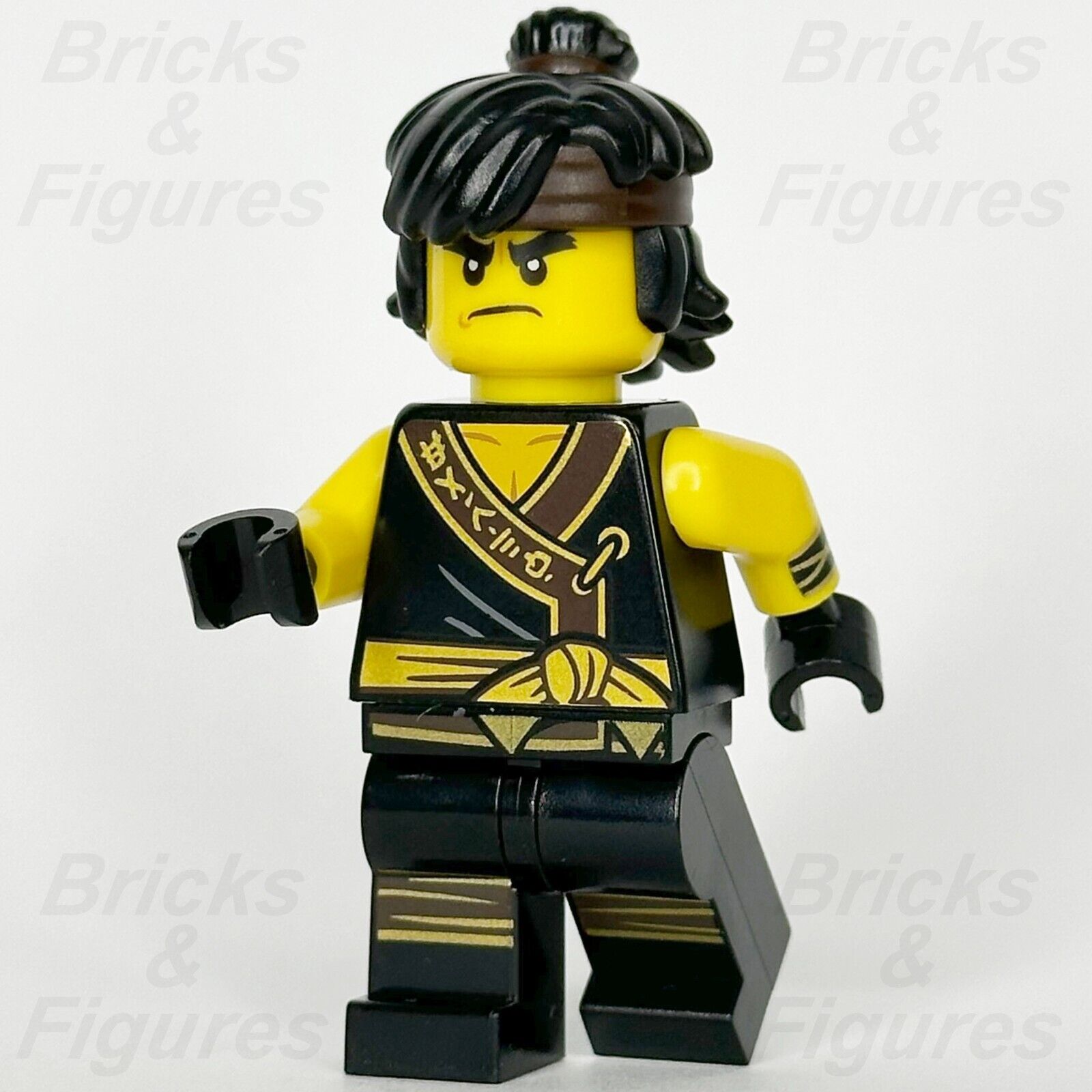 LEGO Ninjago Cole Minifigures Bricks Figures