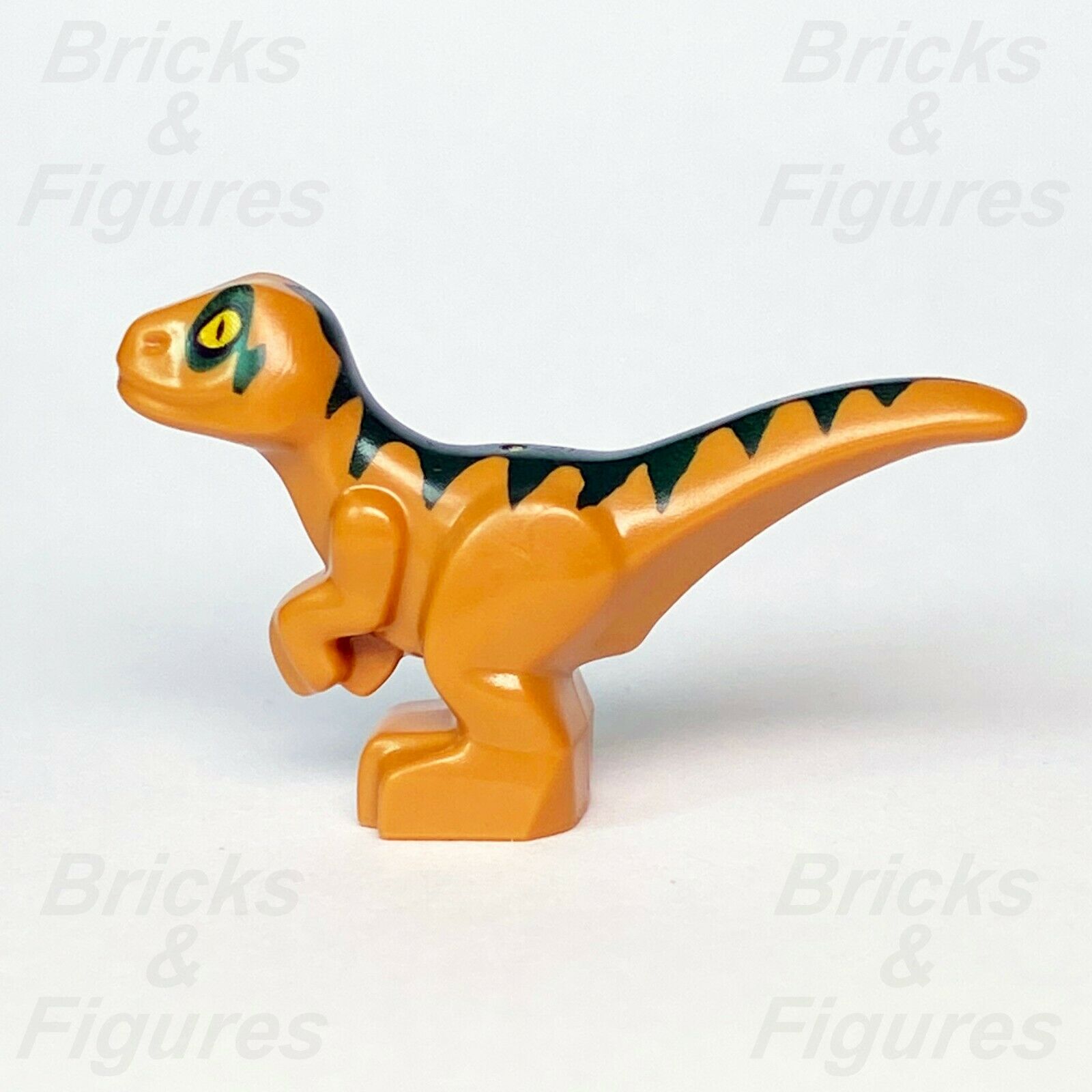 Baby best sale raptor toy